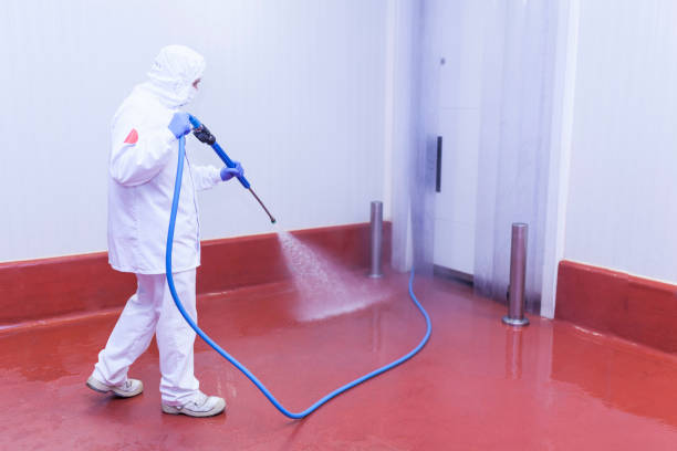 Best Driveway Pressure Washing  in Upper Lake, CA